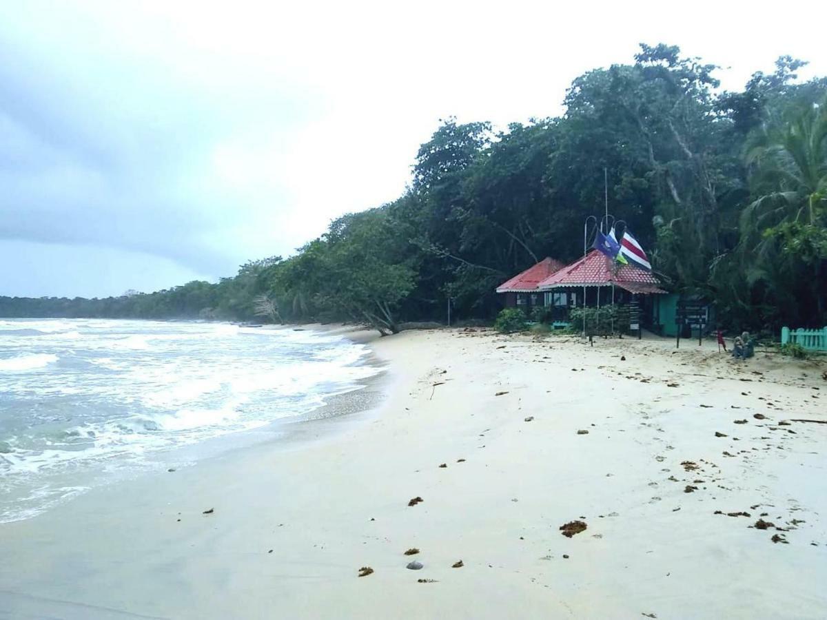 Bee Happy Studio Cahuita Luaran gambar